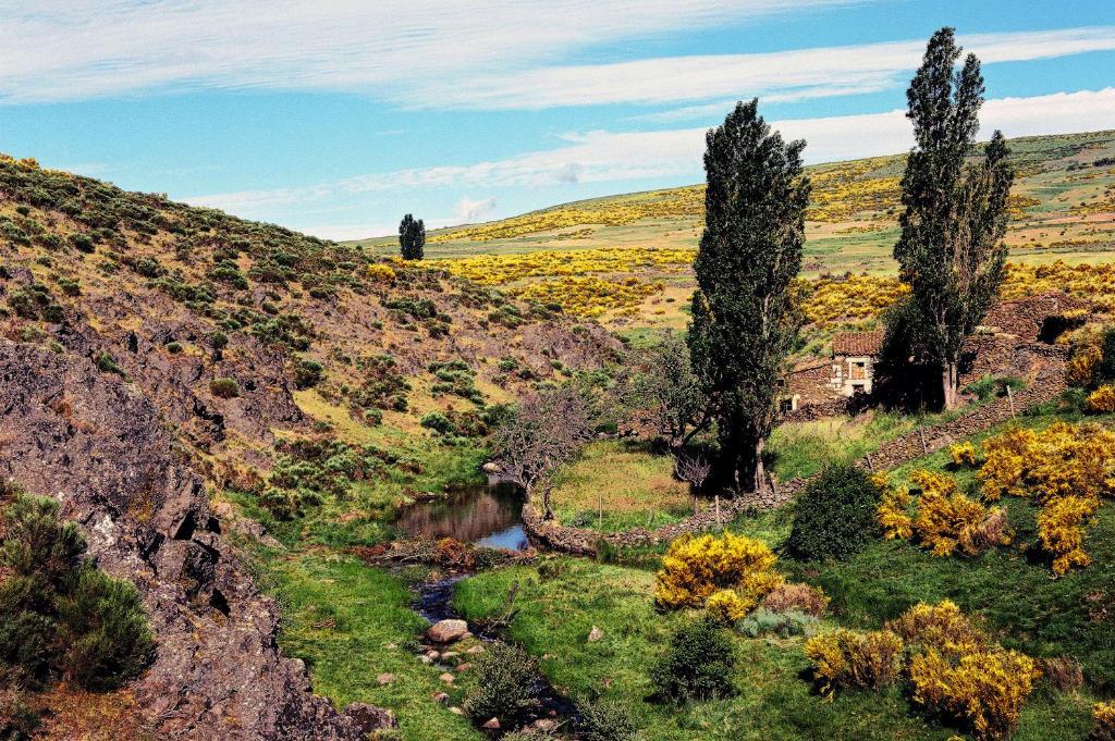 Hotel Rural La Dehesilla Barajas de Gredos Exterior photo